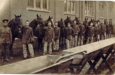 <p>Veldartilleristen staan in het kader van de mobilisatie in 1914 met hun paarden opgesteld bij één van de infanteriekazernes (beeldbank gemeentearchief Ede). </p>
